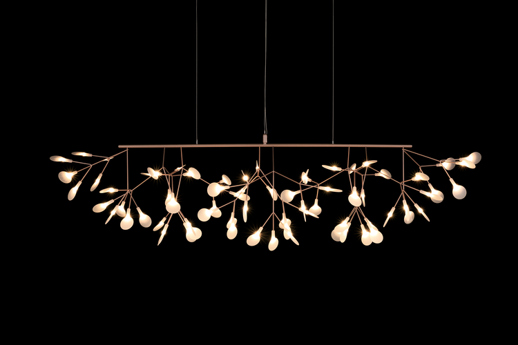 Heracleum-III-Linear-Copper-on-black.png