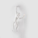 Seletti-Lighting-Monkey-Lamp-Hanging-Lamp-Indoor-14881-1.jpg
