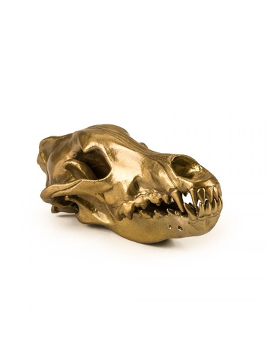 [SEL-10892US] Wunderkrammer Wolf Skull